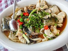 -陶缘一号·四季缘·老字号顺德菜·户外婚礼家宴(西滘店)
