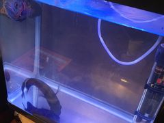 -望湘园·洞庭渔宴(永旺店)