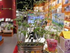 -西西弗书店&矢量咖啡(凯德晶萃广场店)