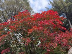 -本溪老边沟风景区