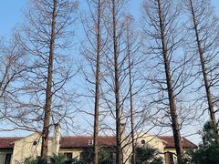 -兰溪青年公园