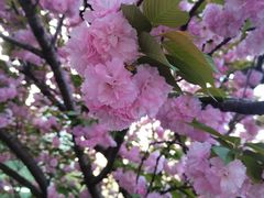 -上海游泳馆(地铁站)