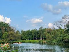 -西溪国家湿地公园