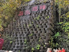 -千年银杏谷文化旅游区