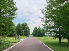 -苏州东太湖生态园