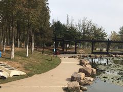 -前关湿地公园