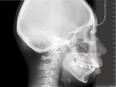 -泰康拜博口腔(凯迪大厦店)