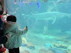 -华夏文旅海洋公园