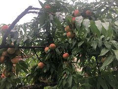 -仙海旅游度假区