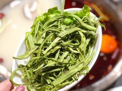 -渝味晓宇火锅(合川路店)