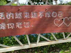 -老木棉·匠园