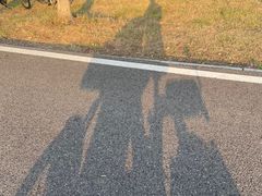 -金银湖国家城市湿地公园