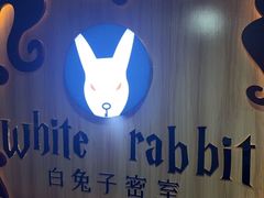 -白兔子密室(长寿路店)
