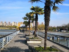 -白塘生态植物园