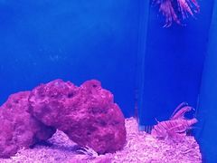 -常州海昌海洋探索馆