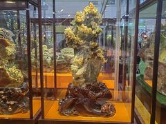 -天津梅江会展中心