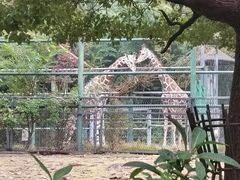 -无锡动物园·太湖欢乐园