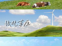 -丰宁坝上草原