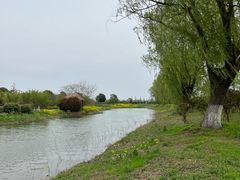 -泗洪洪泽湖湿地景区