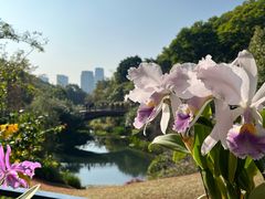 -云溪植物园