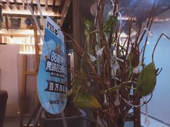 -梵猫·新养生(福州万象城店)