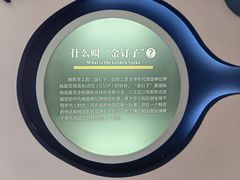 -金钉子远古世界景区