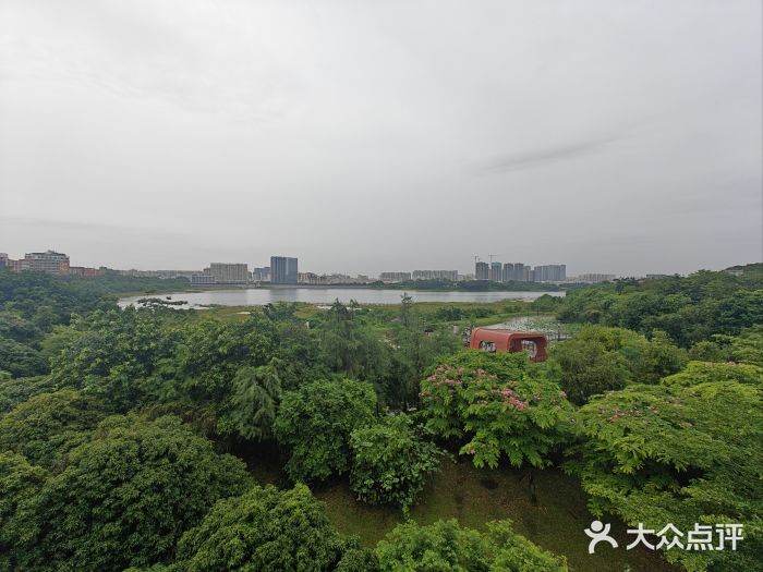 立新湖公园图片