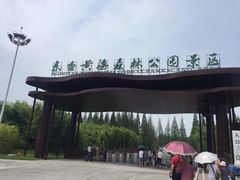 -黄海国家森林公园