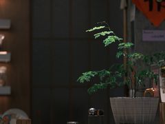 -溯洄咖啡VORTEX COFFEE