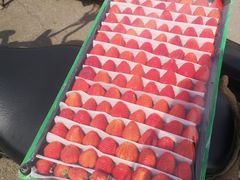 -三旗百汇商品城