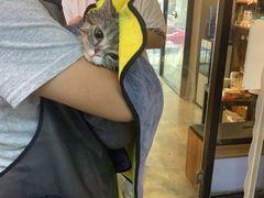 -PETKIT小佩宠物·低压洗护(国顺东路店)