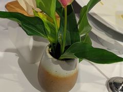 -眉州东坡(华联万柳店)