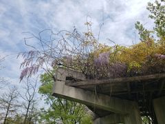 -白塘生态植物园