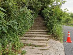 -杭州半山国家森林公园