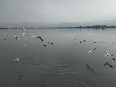 -西昌邛海宾馆