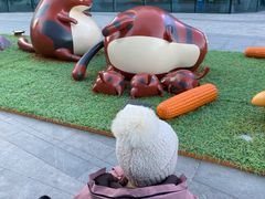 -大族广场Mall&More