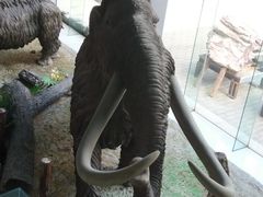 -中国第四纪冰川遗迹陈列馆