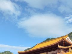 -深圳仙湖植物园