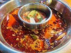 -金鼎雪山牦牛杂火锅(理县总店)