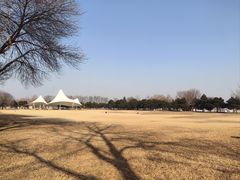 -石家庄市植物园