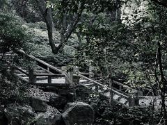 -惠山国家森林公园