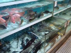 -盒马鲜生(枣园路店)