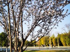 -眉山湿地公园(东坡区)