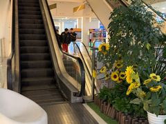 -上海龙之梦万丽酒店