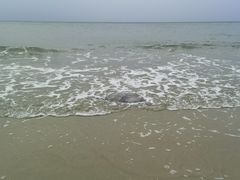 -北海银滩一号国际会议中心酒店