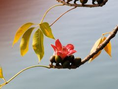 -东山湖公园