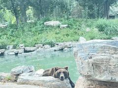 -北京野生动物园