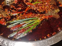 -一斗火锅·招财羊毛肚(北温泉九号店)