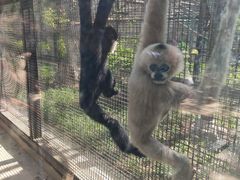 -石家庄市动物园