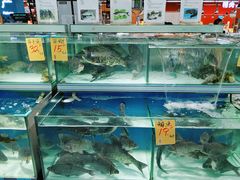 -家乐福(川沙店)